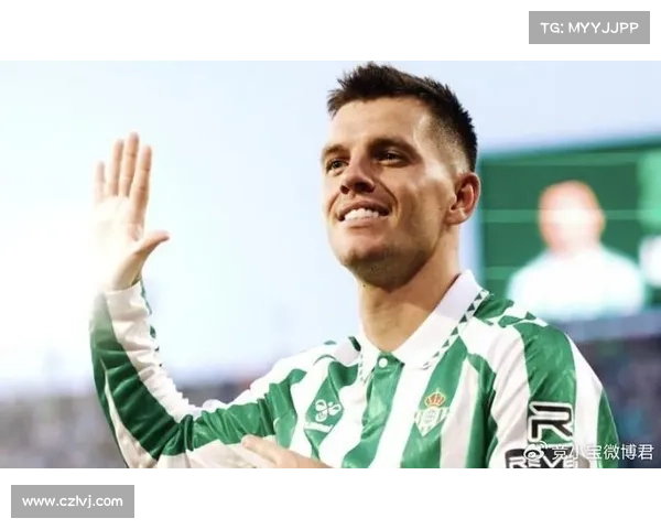 如何全面评析洛塞尔索在比赛中的表现与技术特点